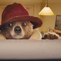 Der Knuddelbär Paddington erobert zum dritten Mal die Kinoleinwand.