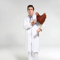 «Pastekwa» zügelt von Sat 1 zu Amazon Prime.
