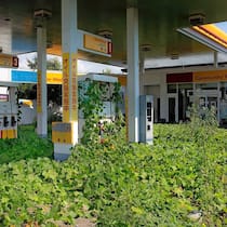 Sinnbild einer Region: Kehrt je wieder Leben in die Sperrzone von Fukushima zurück?