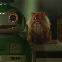 Durchgeknallt gibt’s nicht. Zur Anthologieserie «Love, Death & Robots» passt auch die Combo Roboter und Katze.