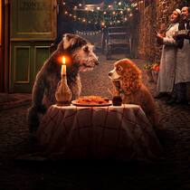 Susi und Strolch Serie disney+