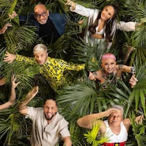 Die 12 Dschungecamper: (obere Reihe v.l.) Timur Ülker, Yeliz Koc, Pierre Sanoussi-Bliss, Alessia Herren; (mittlere Reihe v.l.) Lily Becker, Nina Bott, Sam Dylan, Edith Stehfest; (untere Reihe v.l.) Jörg Dahlmann, Anna-Carina Woitschack, Maurice Dziwak, Jürgen Hingsen.