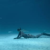 Zwischen Faszination und Provokation: Ocean Ramseys Tauchgänge mit Weissen Haien polarisieren.