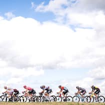 Hopp hopp hopp! Bald steigen sie wieder in Pedalen – an der Tour de France und auf Netflix.