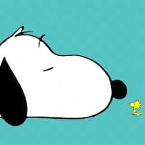 Hallo, wach? Snoopy und sein bester Freund, Vögelchen Woodstock.