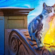 Katzenliebe