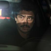 Detective Tom Nichols (Benicio Del Toro) ist mit seinem Latein am Ende.