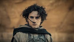 Für Paul (Timothée Chalamet) stehen die Zeichen auf Krieg.