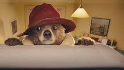 Der Knuddelbär Paddington erobert zum dritten Mal die Kinoleinwand.