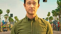 Leere und Panikattacken: Josh Corman (Jospeh Gordon-Levitt) ist desillusioniert.