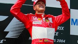 Jubelpose: Michael Schumacher bei seinem Sieg in Magny-Cours 2004.