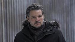 Raufen sich Joel (Pedro Pascal) und Ellie wieder zusammen?