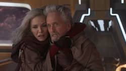 Diesmal sind Janet (Michelle Pfeiffer) und ihr Mann Hank (Michael Douglas) aktiv in die Geschichte involviert.