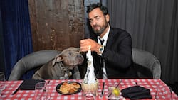 Susi & Strolch? Nein, das sind Hundelady Kuma und Herrchen Justin. Aber das Menü stimmt!