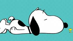 Hallo, wach? Snoopy und sein bester Freund, Vögelchen Woodstock.