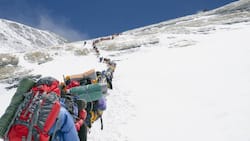 Eine Karawane von Bergsteigern auf dem Lhotse, Mount Everest.