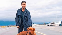 Mein Partner mit der kalten Schnauze: Scott Turner (Josh Peck) mit Dogge.