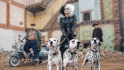 Schwarze und weisse Haare, graue Seele: Emma Stone ist Cruella De Vil. Die Gauner Horace und Jasper stehen Cruella bei ihren kriminellen Aktivitäten bei.