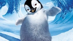 Von klein auf ganz speziell: der tanzende Königspinguin Mumble.