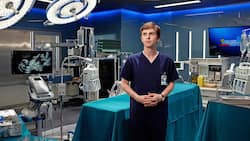 Superschnippler: Würden Sie sich vielleicht unter Dr. Murphys (Freddie Highmore) Messer legen?