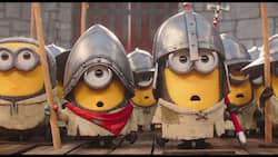 Die Minions um James (M.) staunen wieder einmal Bauklötze.