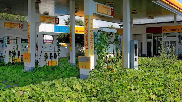Fukushima 