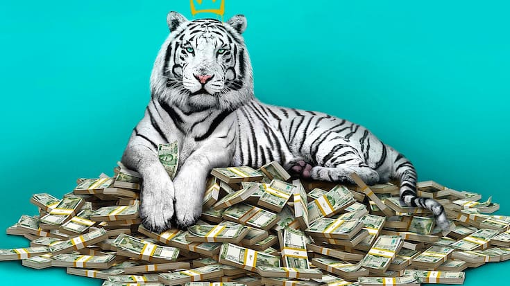 Der weisse Tiger