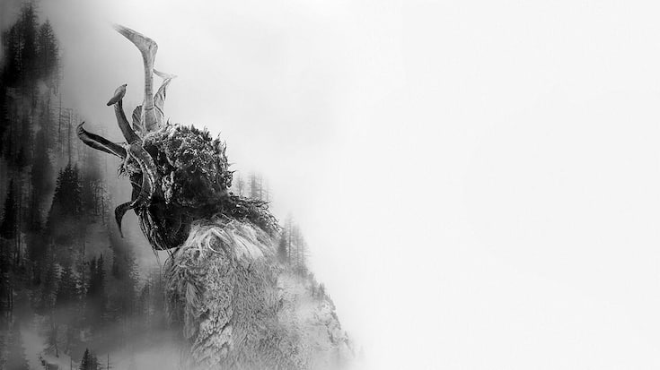 web der pass a4 portrait nu keyart 1