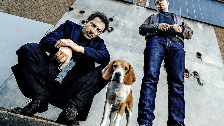 web-dogsofberlin_onesheet_089_300dpi_srgb_v9_multi-1