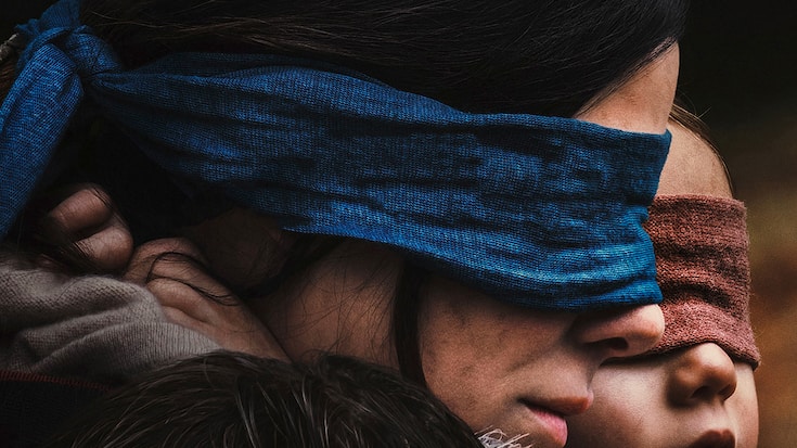 Bird Box Sandra Bullock