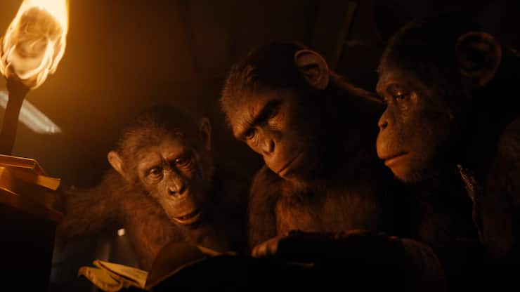 Wissbegierig: Noa  (M.) stöbert in alten Büchern.