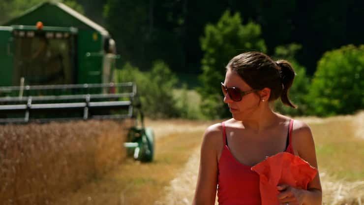 «Fair Traders»: Claudia Zimmermann bei der Kornernte