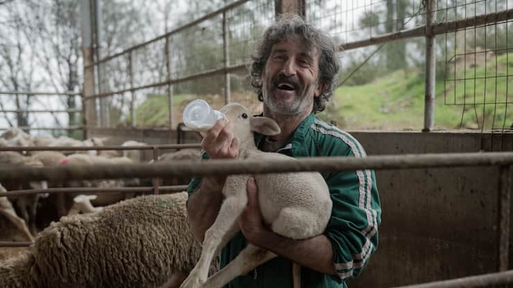 Jööö! Luis Zahera sorgt als Landtierarzt Anton für herrlich gute Laune.