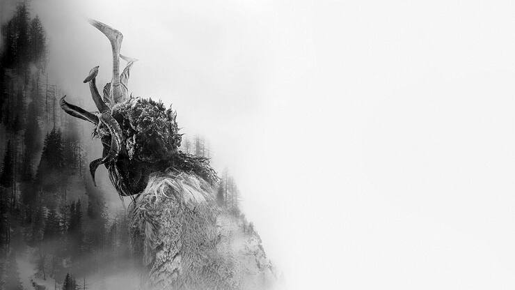 web der pass a4 portrait nu keyart 1