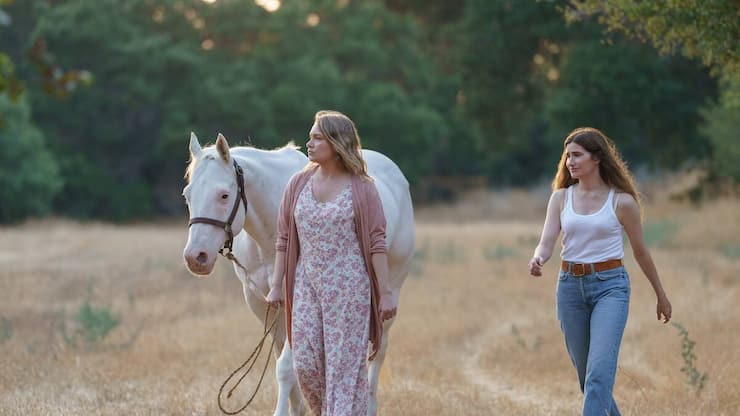 Tiny Beautiful Things