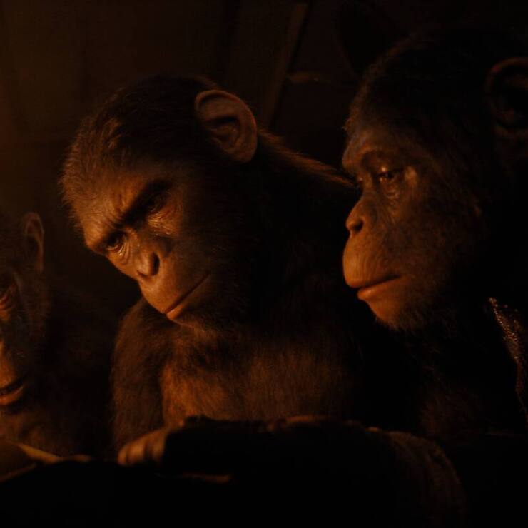 KINGDOM OF THE PLANET OF THE APES