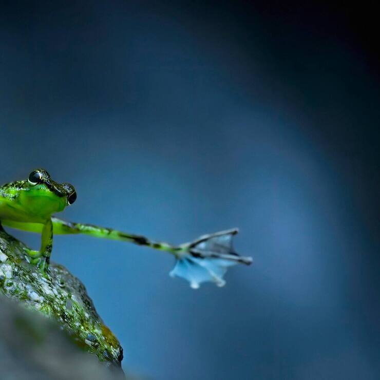 Earth At Night In Color