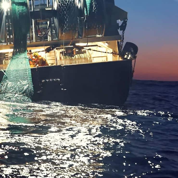 Seaspiracy. c. Courtesy of Sea Shepherd