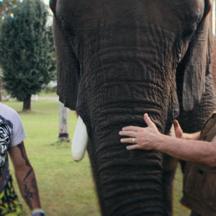 Joe Exotic und Doc Antle