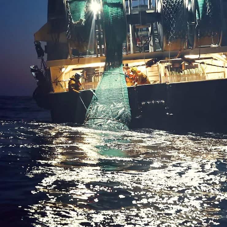 Seaspiracy. c. Courtesy of Sea Shepherd