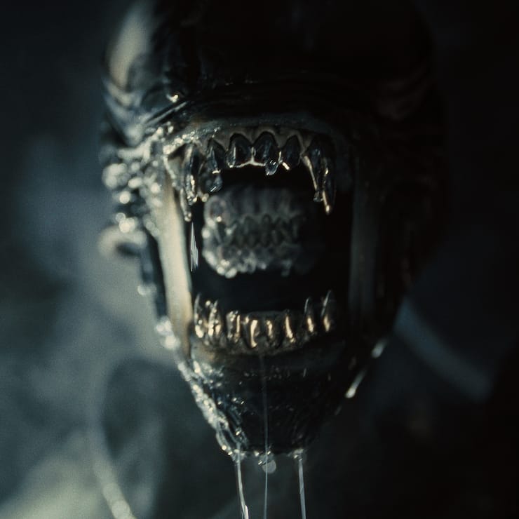 H.R. Giger lässt grüssen: Das Xenomorph schockiert auch im neusten Alien-Ableger.
