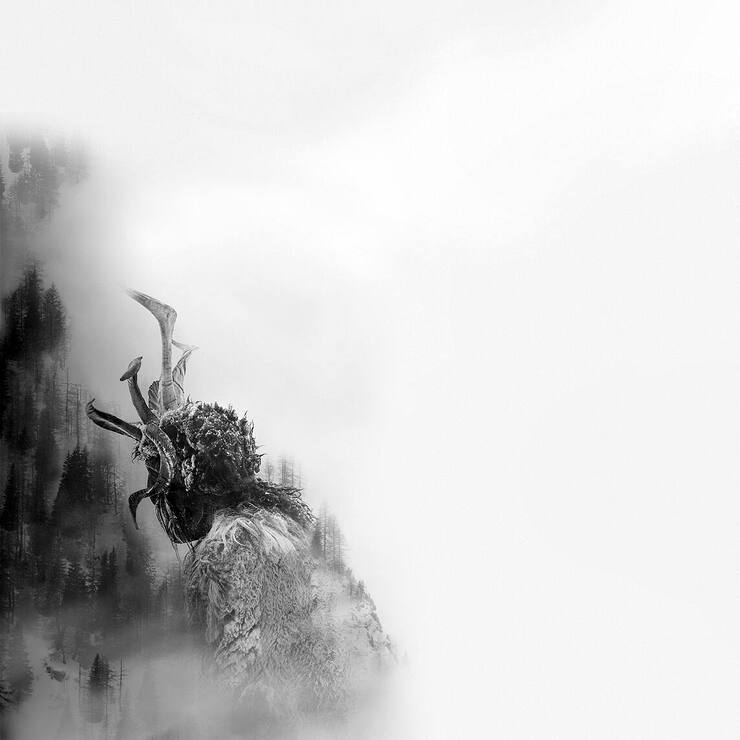 web der pass a4 portrait nu keyart 1