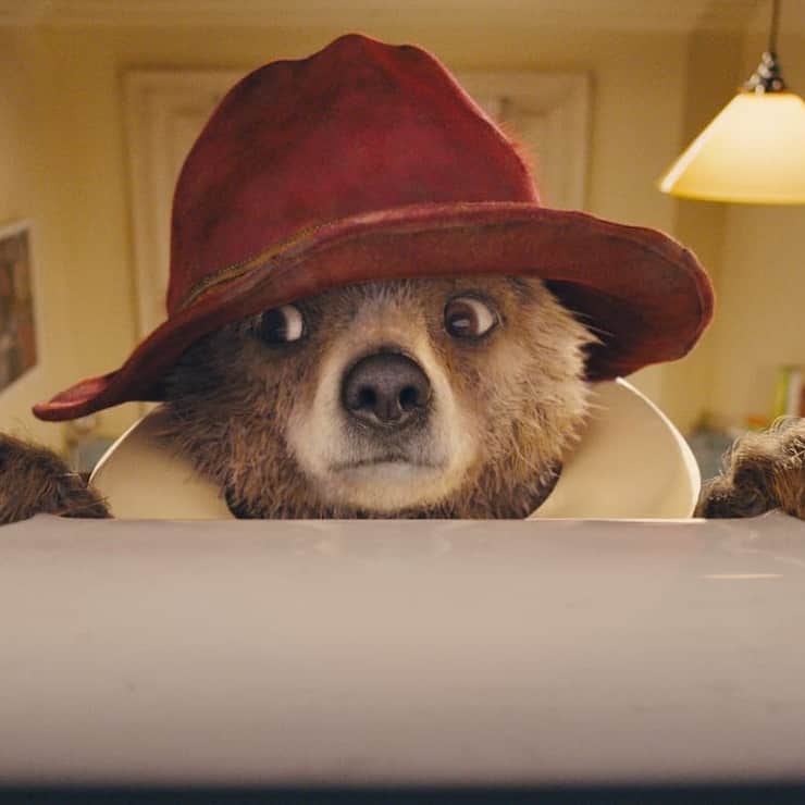 Paddington 3