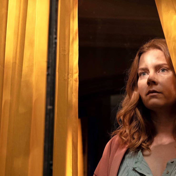 The Woman in the Window