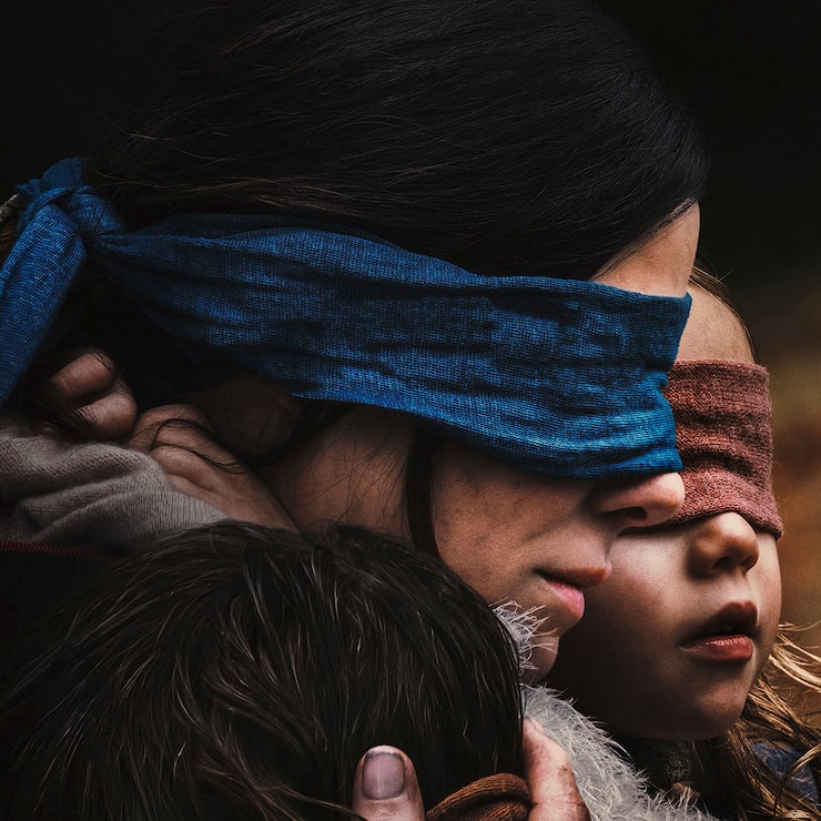 Bird Box Sandra Bullock