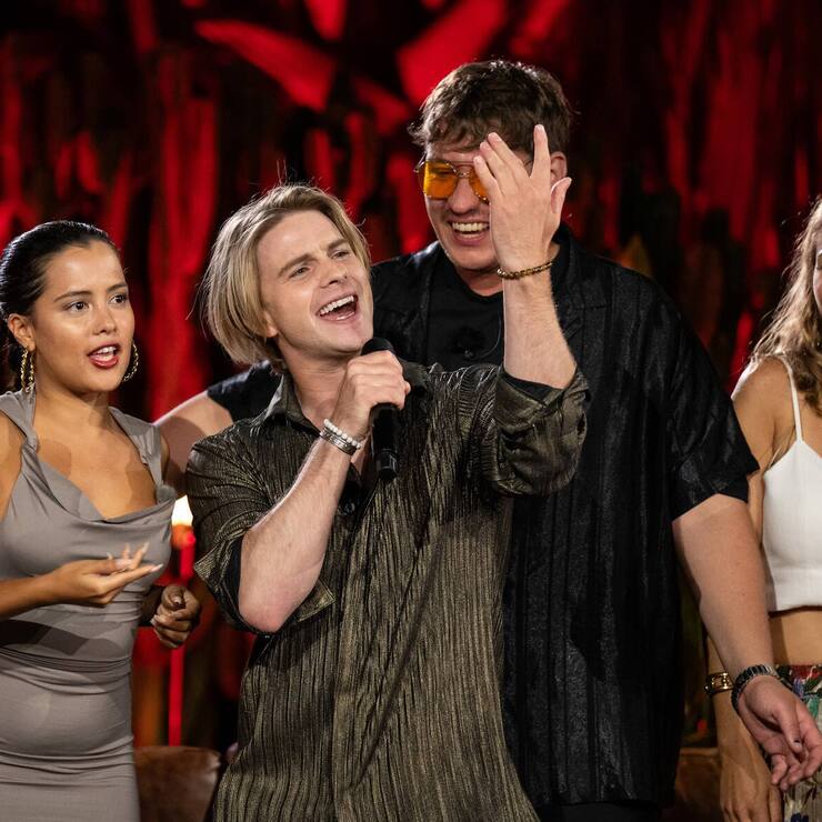 Sing meinen Song – Vincent Gross