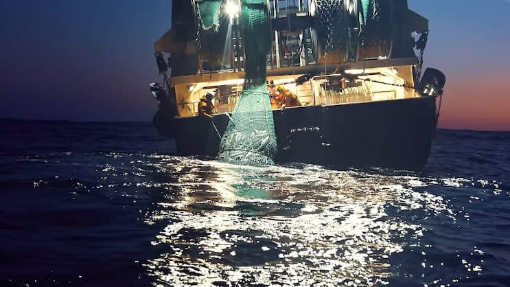 Hinter sogenannt nachhaltigem Fischfang auf hoher See stecken oftmals kriminelle Machenschaften.