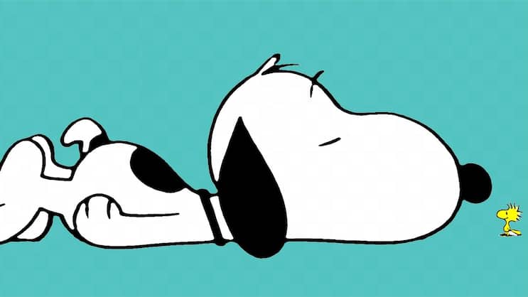Hallo, wach? Snoopy und sein bester Freund, Vögelchen Woodstock.