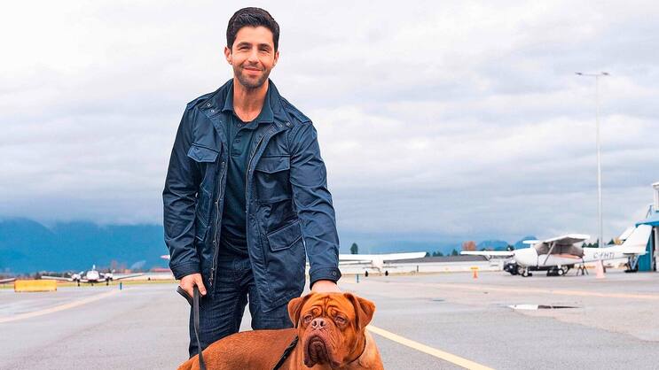 Mein Partner mit der kalten Schnauze: Scott Turner (Josh Peck) mit Dogge.