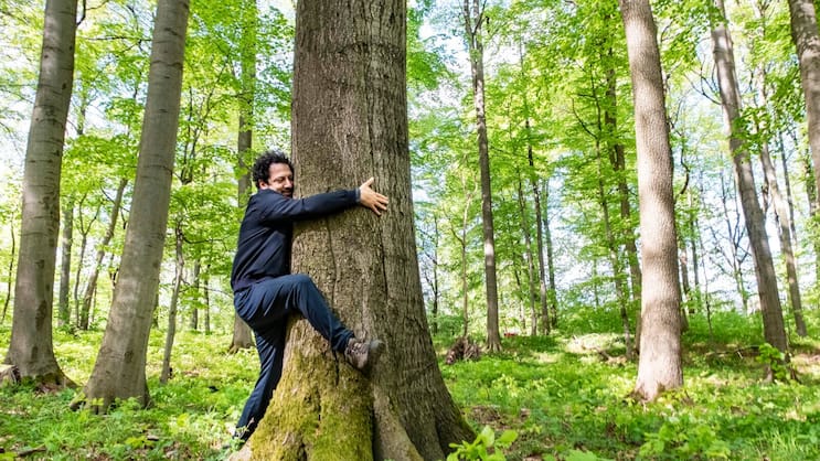 «Waldbaden»: Fahri umarmt den Baum erst zögerlich, danach aber umso herzhafter.
